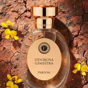 FLORIDIA Odorosa Ginestra